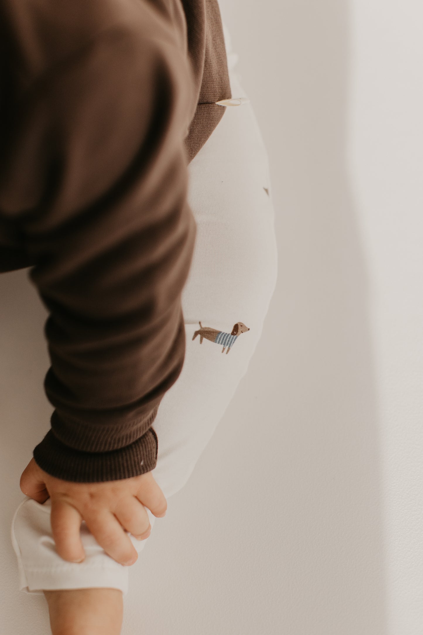 Unisex Leggings mit Dackel-Muster – Gemütlich, Weich und Bewegungsfreundlich
