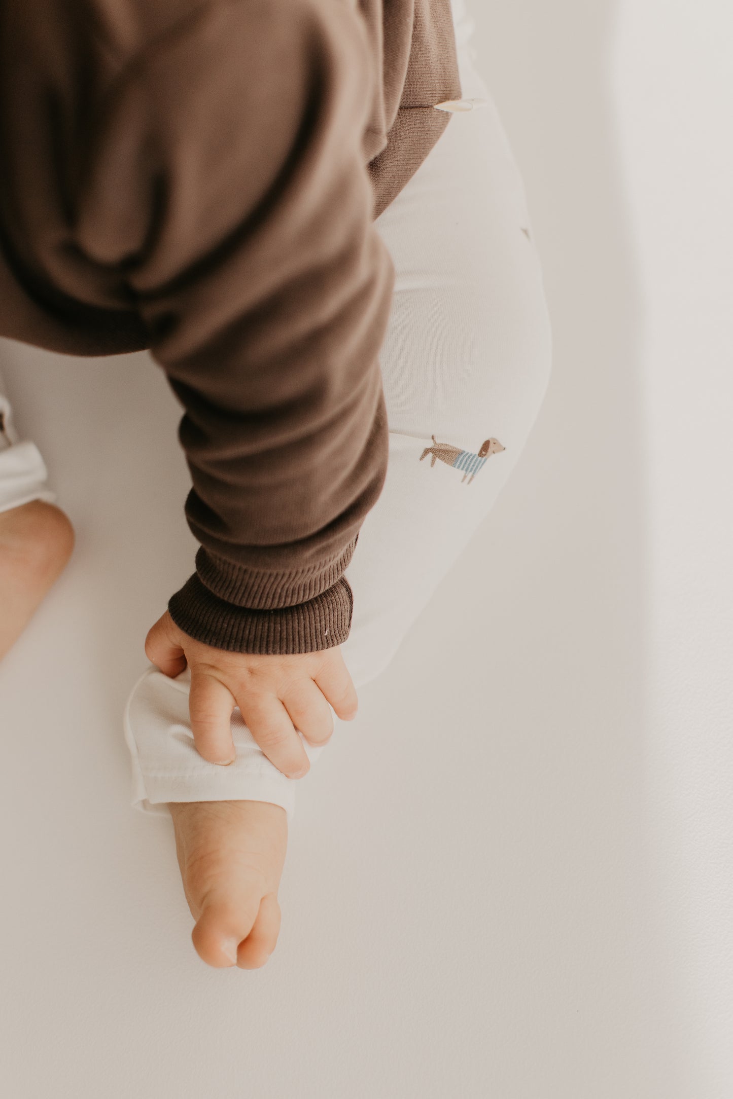 Unisex Leggings mit Dackel-Muster – Gemütlich, Weich und Bewegungsfreundlich